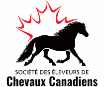 Canadian Horse Breeders' Association