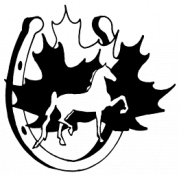 American Saddlebred Horse Association of Canada