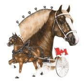 CBHA Logo