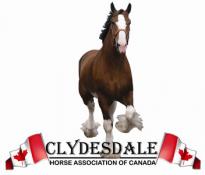 Clydesdale Horse Association of Canada