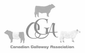 Société Canadienne Galloway