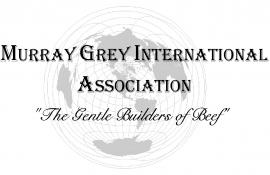 Murray Grey International Association
