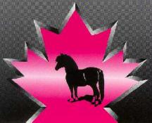 Société Canadienne du Cheval Miniature