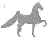 Société Canadienne des Chevaux Palomino